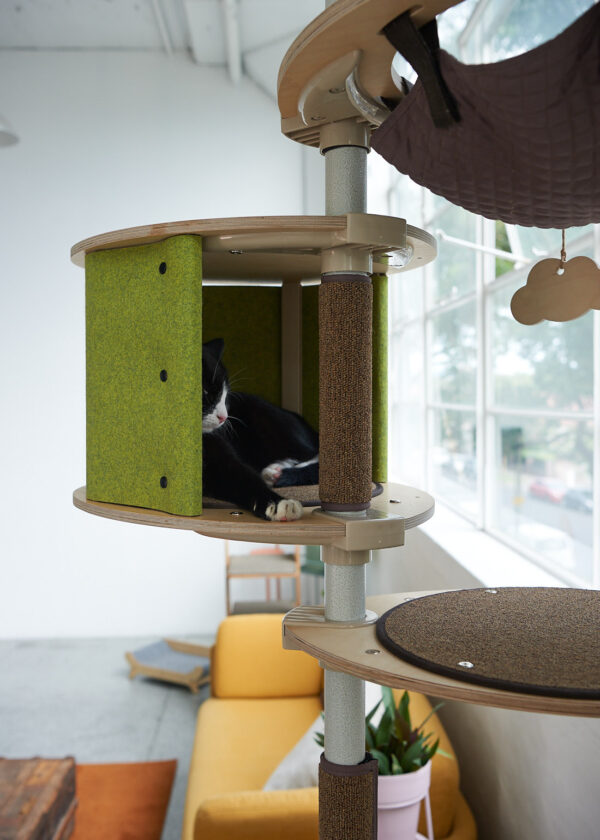 Tok Floor To Ceiling Cat Tree, Living Room Cat Shelves