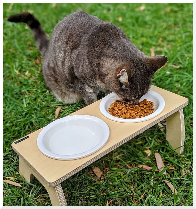 A food table to improve your cats health and reduce the mess