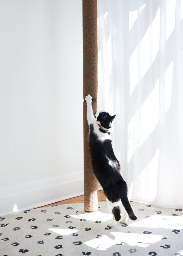 Cat Scratching Post Australia