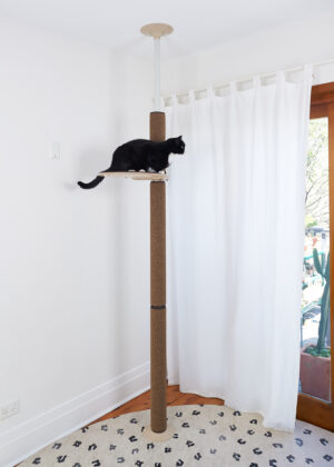 Floor to ceiling cat tower Australia