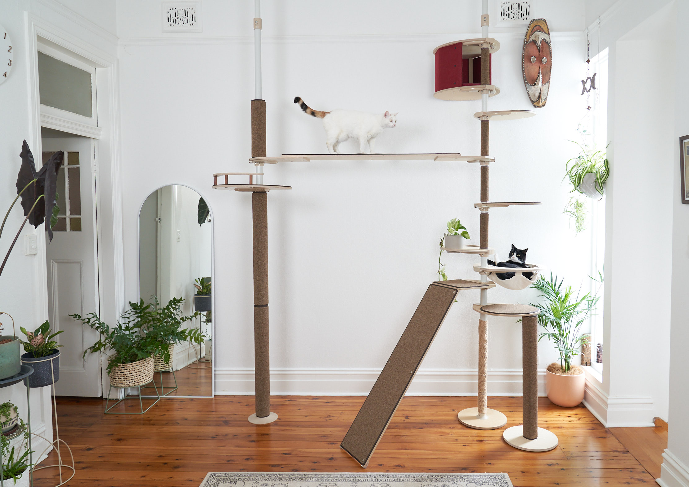 Large cat tree Australia for Large Cats