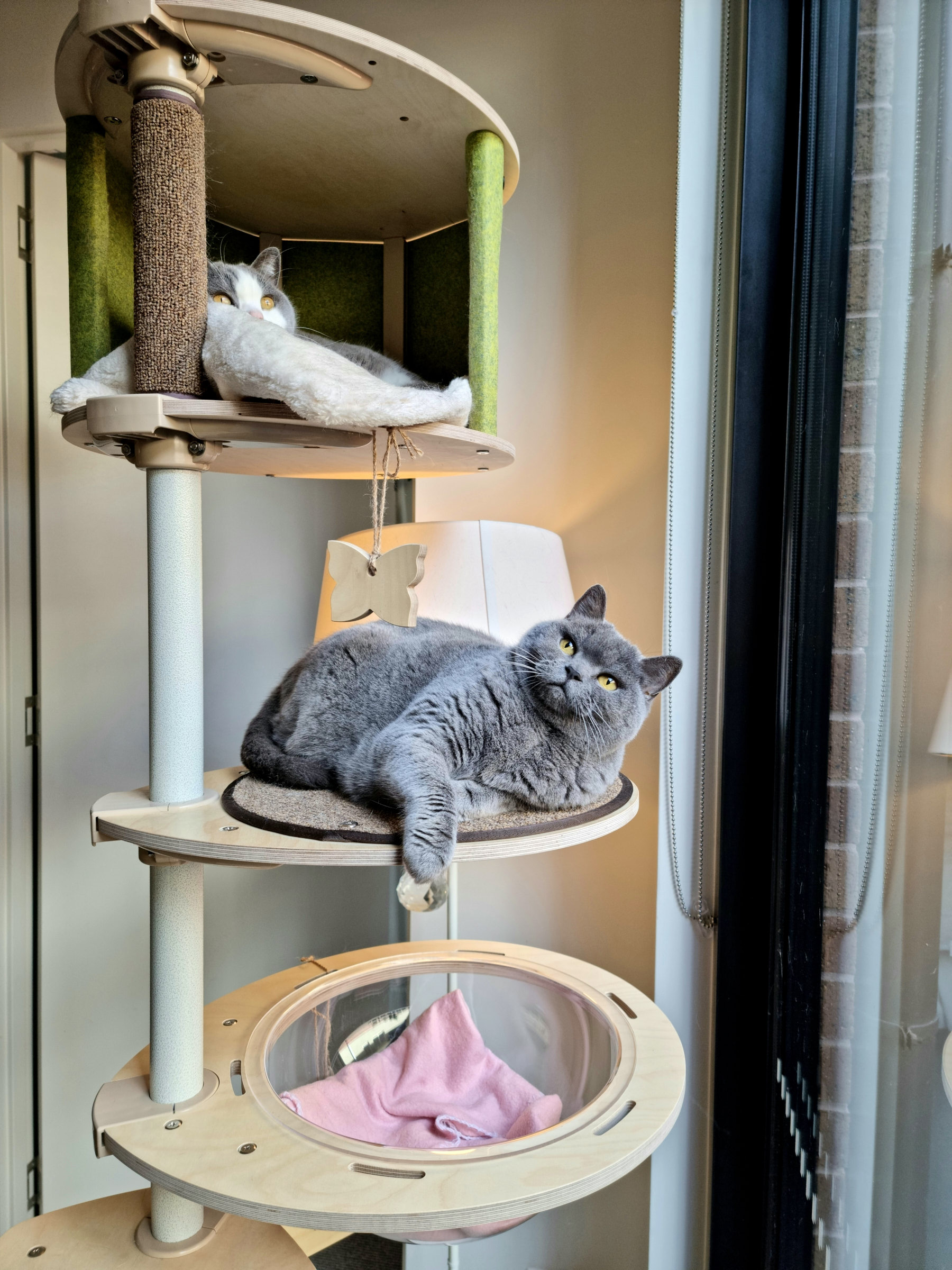 Cat tree for multiple cats