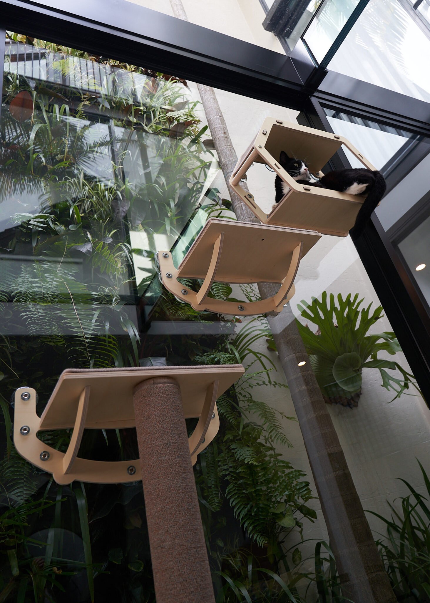 Cat Window Tree Insert Window Cat Tree - Woods for Cats