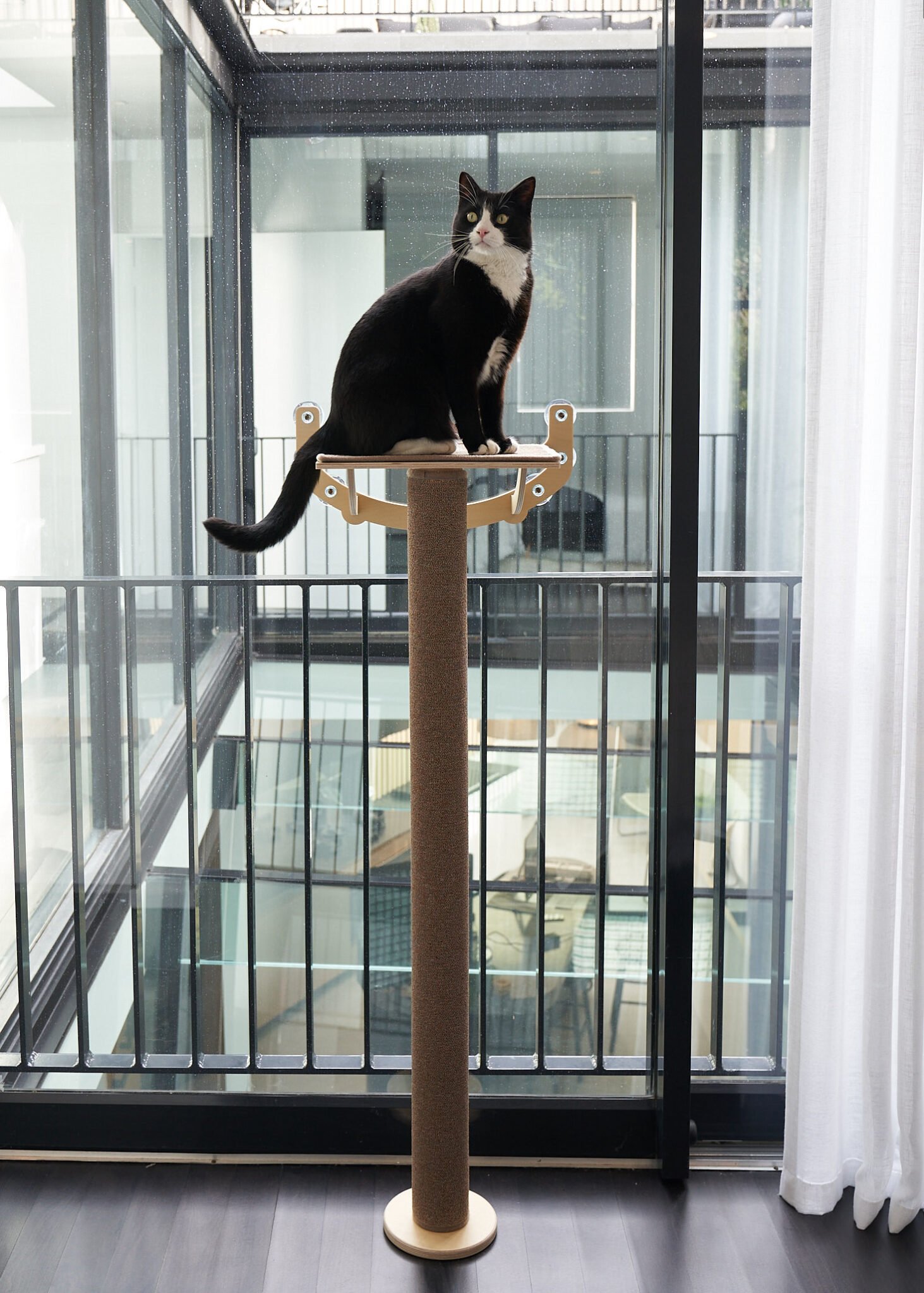 Window Cat Tree Woods for Cats