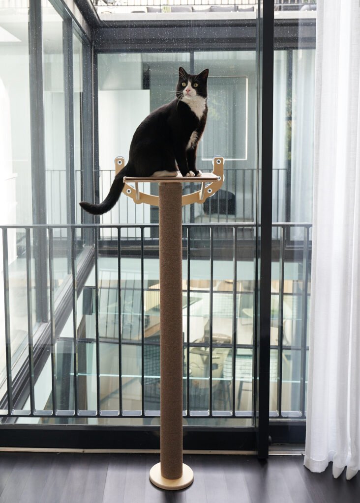 Cat Window Tree Insert Window Cat Tree - Woods for Cats