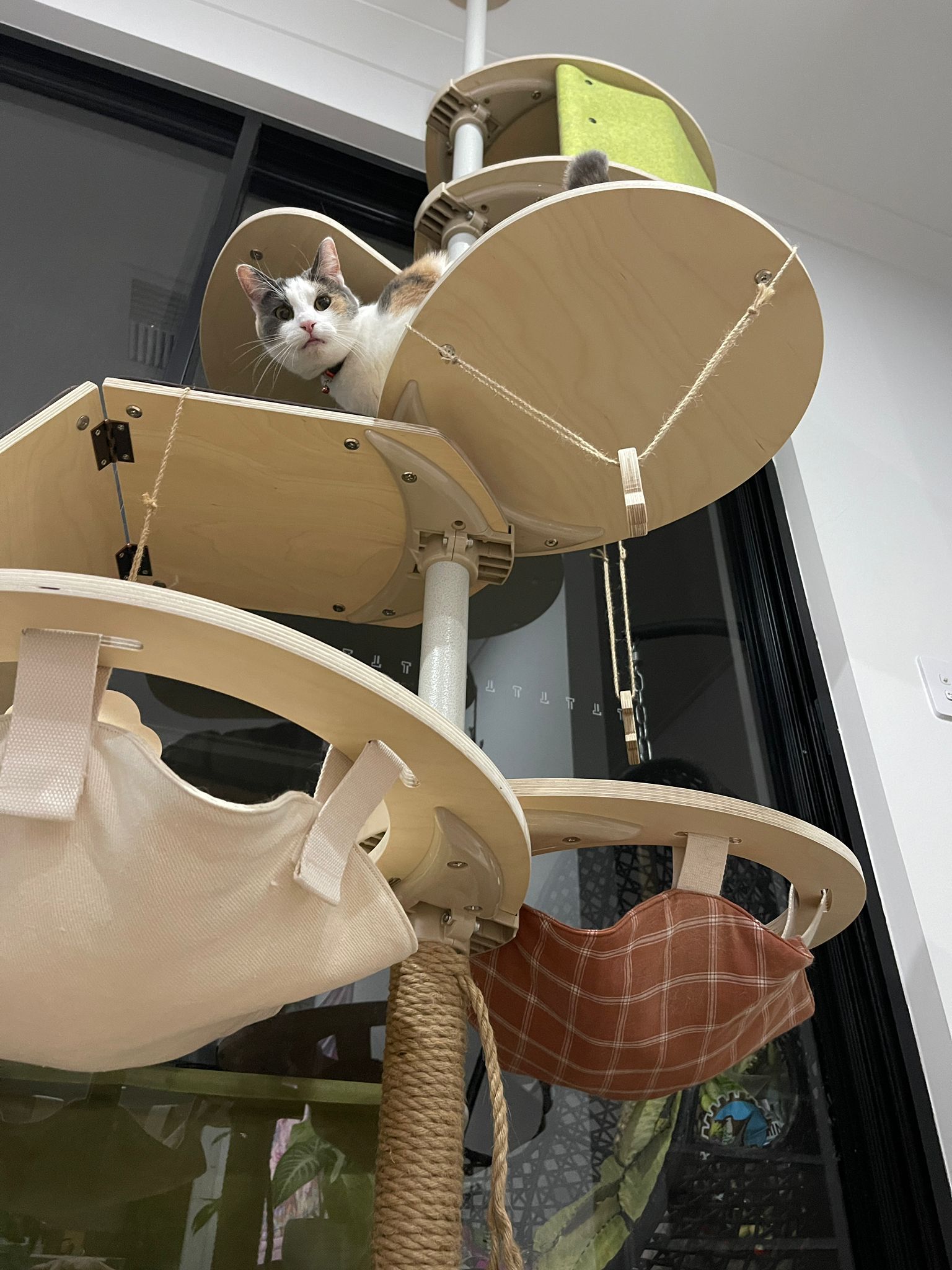 compact and customisable cat tree Australia