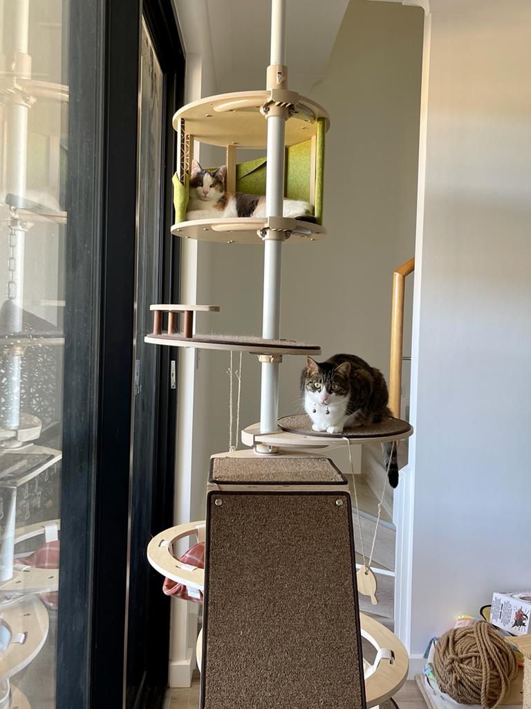 compact and customisable cat tree Australia