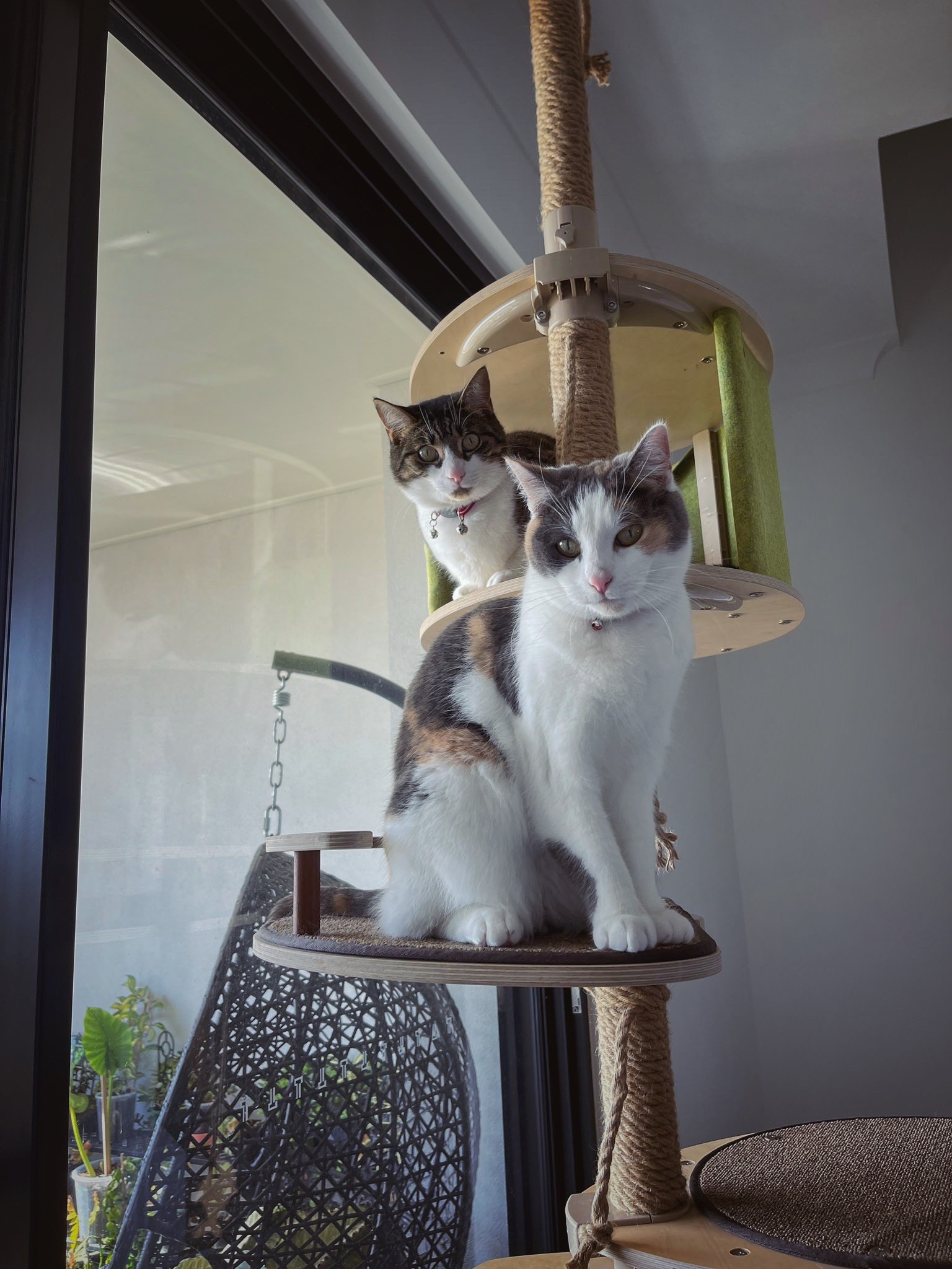 compact and customisable cat tree