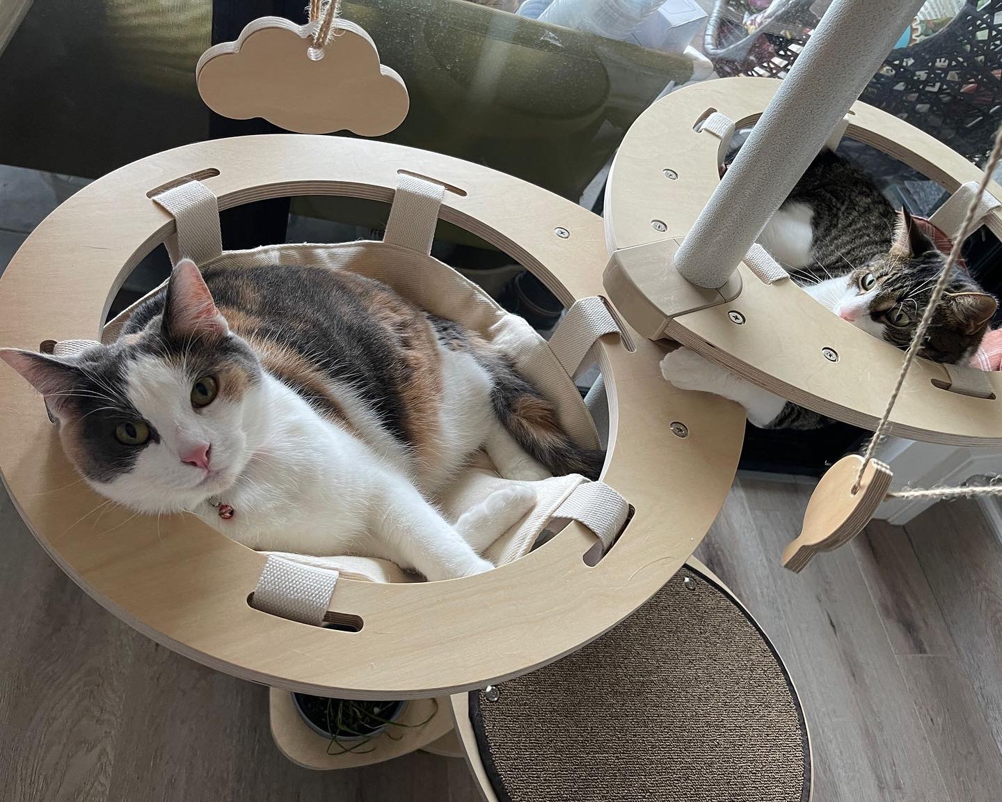 compact and customisable cat tower Australia