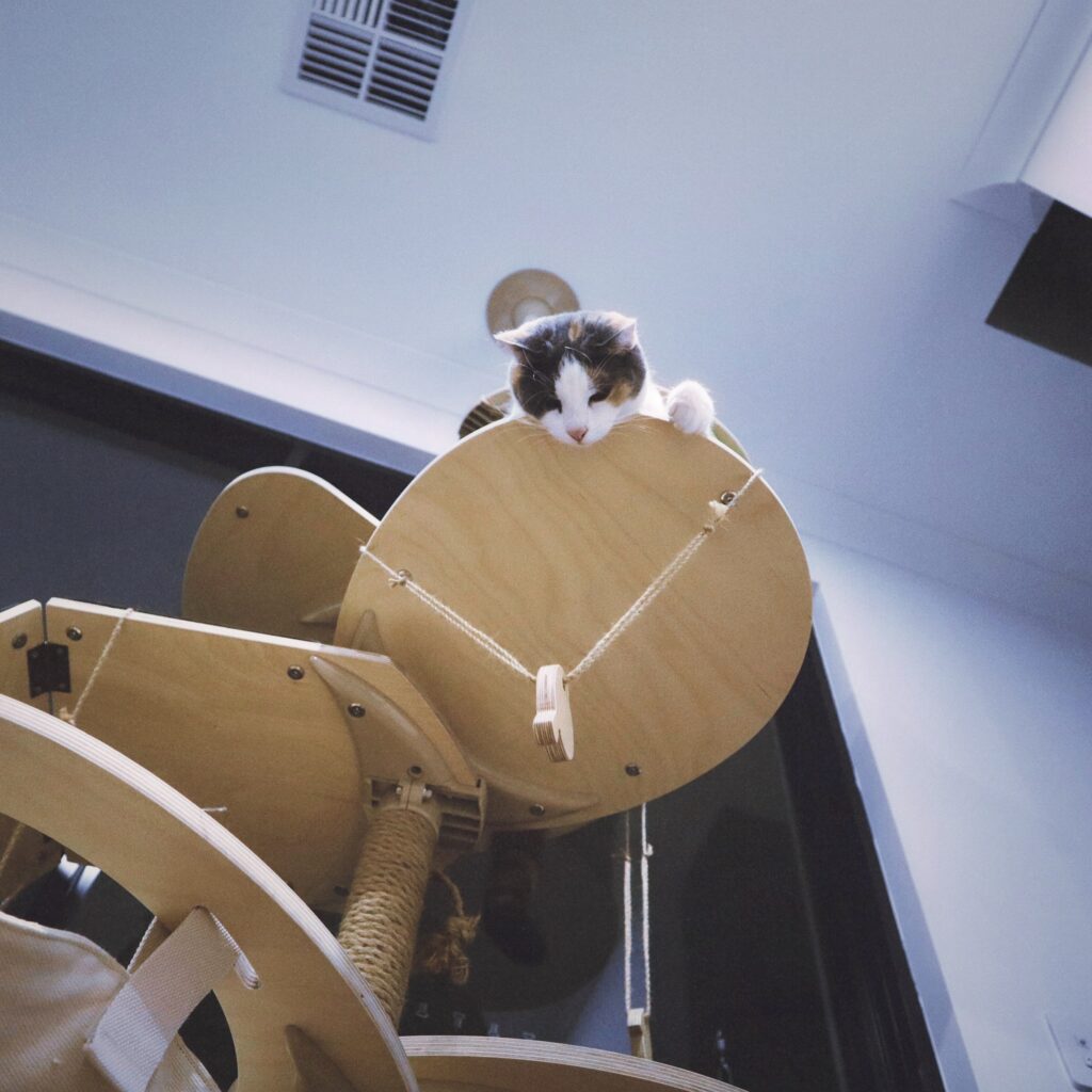compact and customisable cat tree