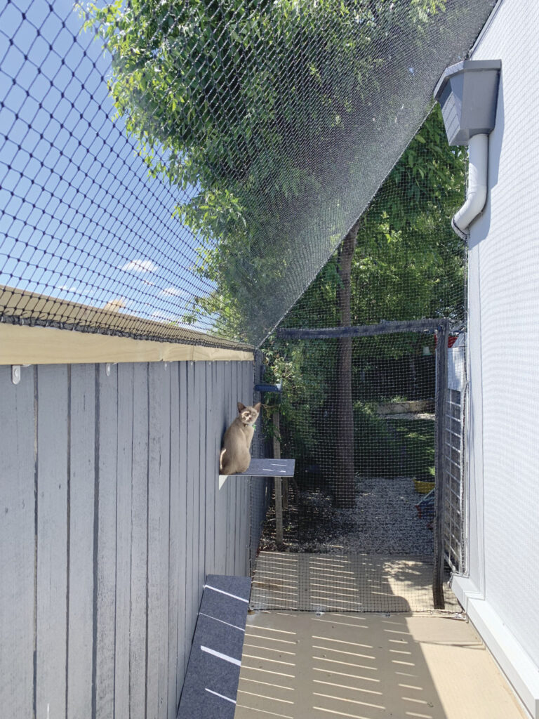 PURRFECT PENS Top quality cat enclosures Australia