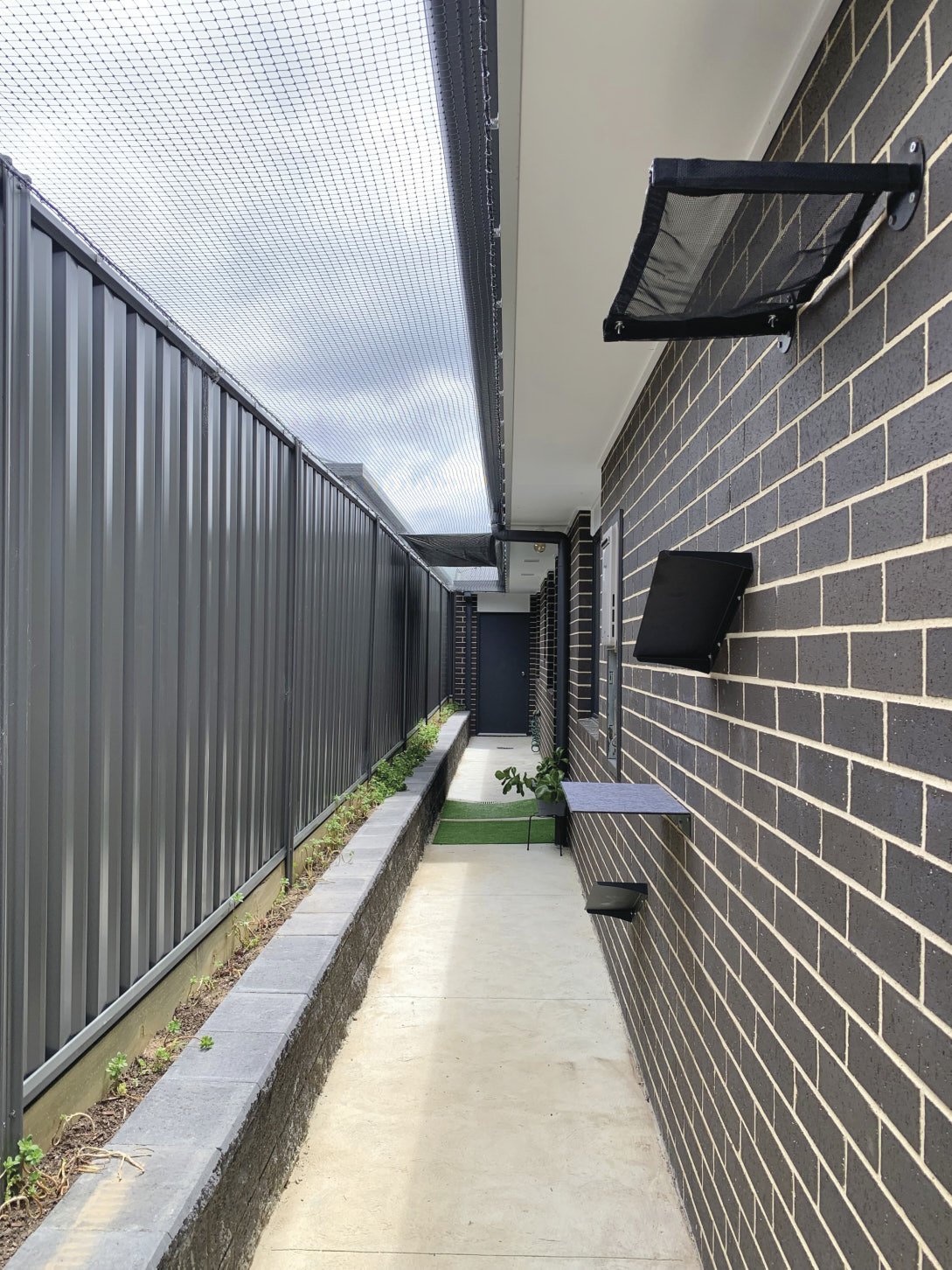 Purrfect Pens Canberra and Woods for Cats