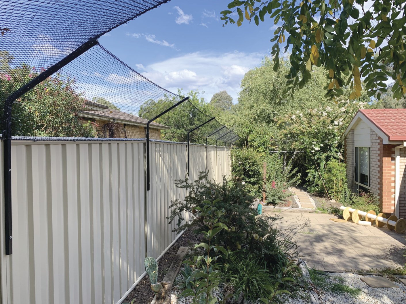 Purrfect Pens Canberra and Woods for Cats