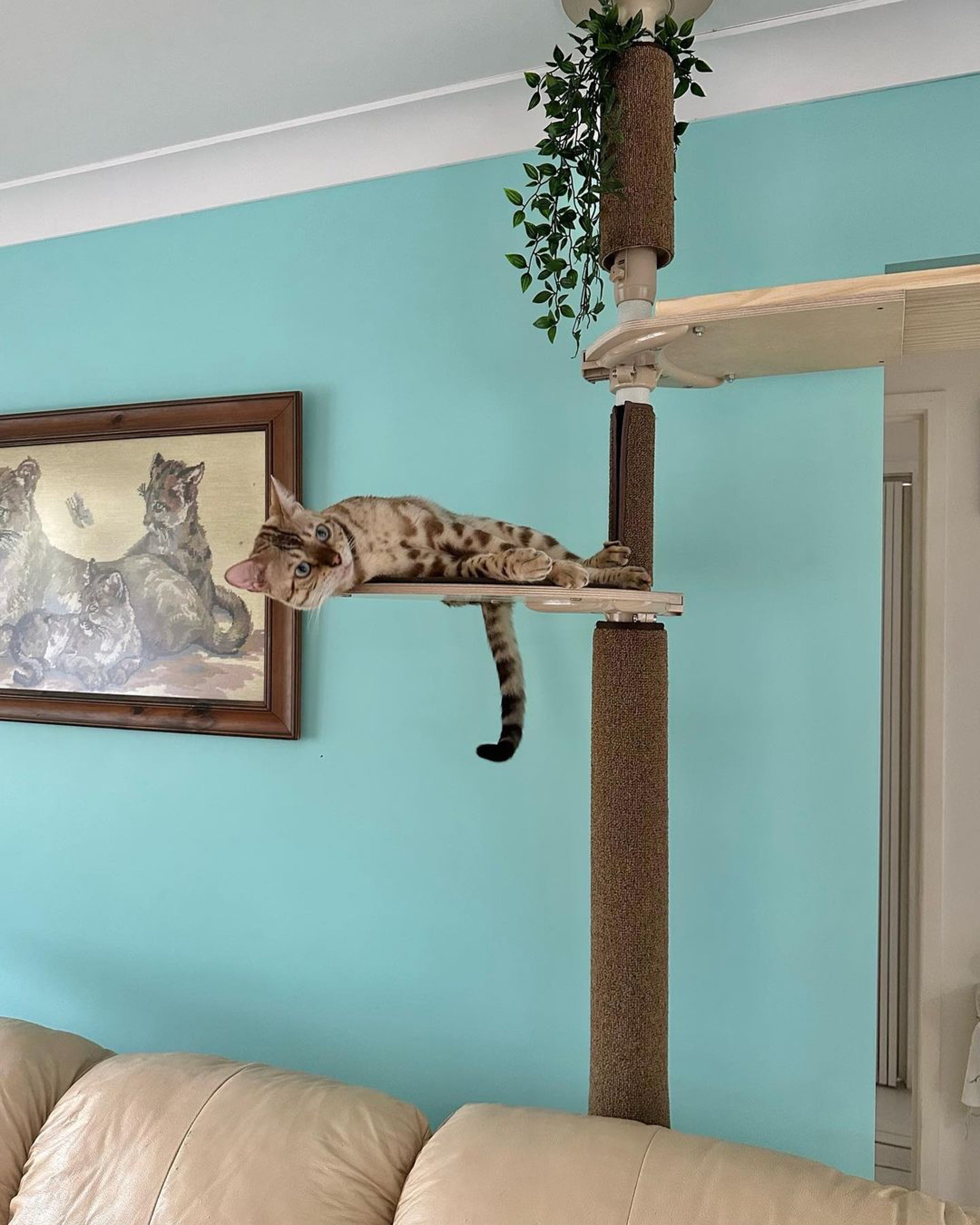 Compact cat tree for a multi-cat household