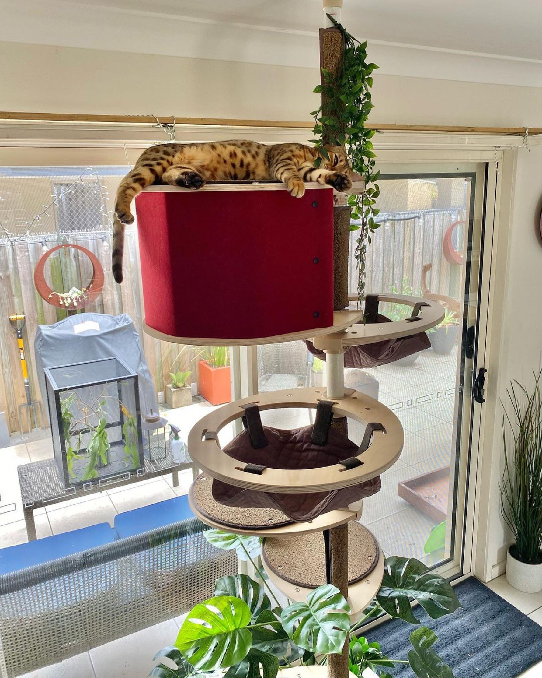 floor to ceiling cat tree for a multi-cat household
