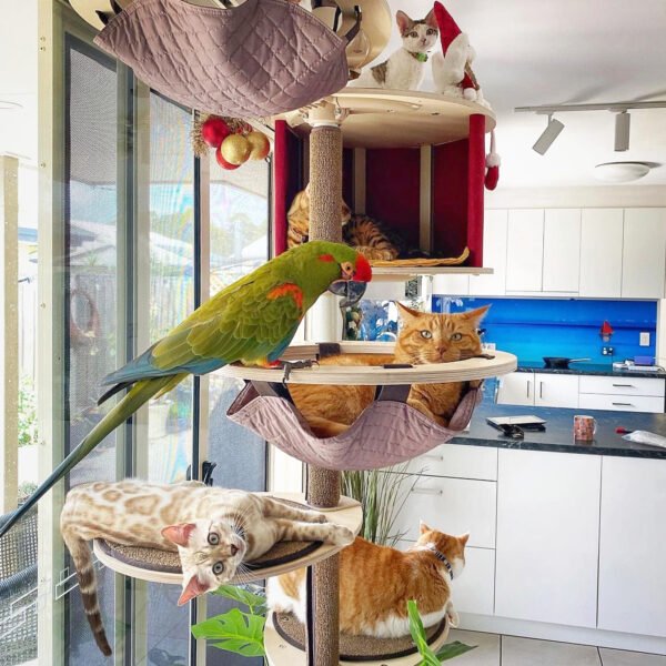 Compact cat trees for a multi-cat household