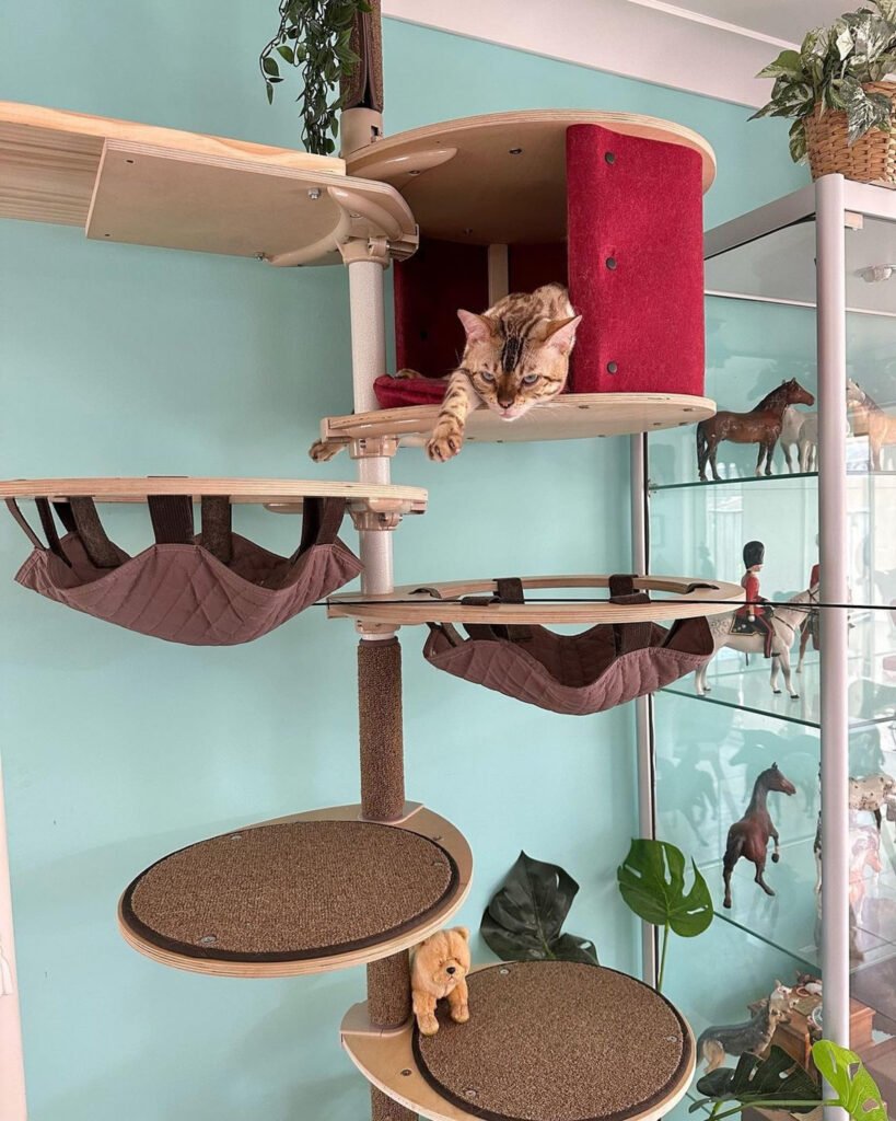Compact cat trees for a multi-cat household