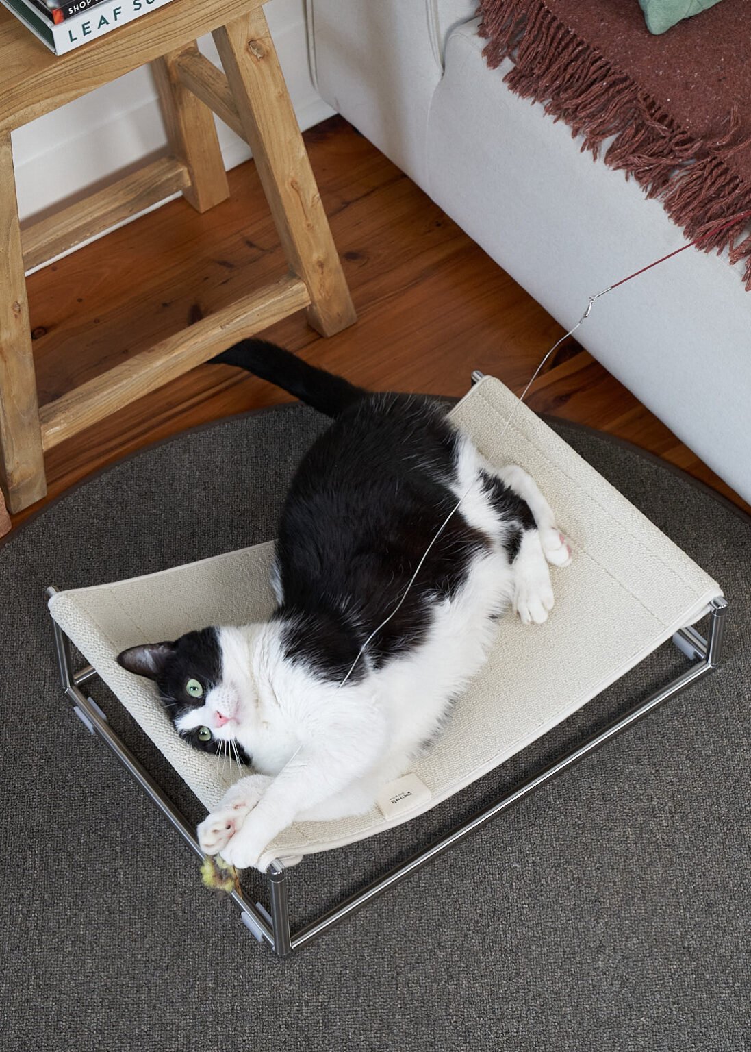 Sunbed Modern Elevated Cat Bed Woods for Cats