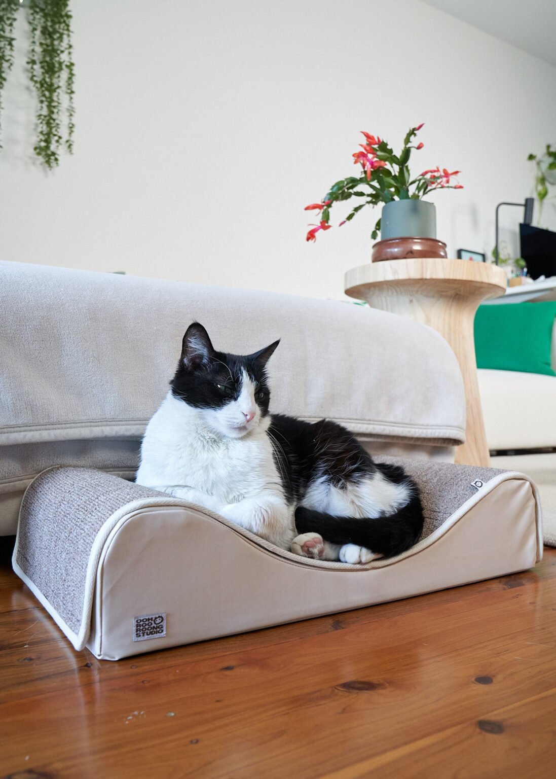 Wave Modern Cat Bed and Scratcher Woods for Cats