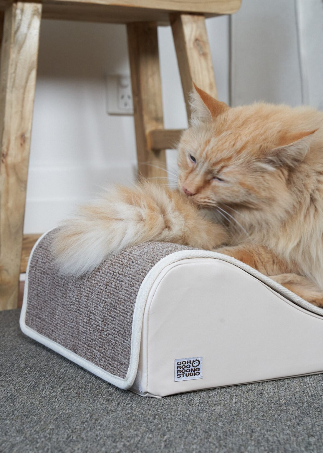 Wave Modern Cat Bed and Scratcher Woods for Cats
