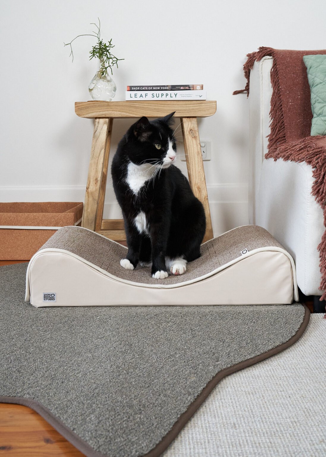 Wave Modern Cat Bed and Scratcher Woods for Cats