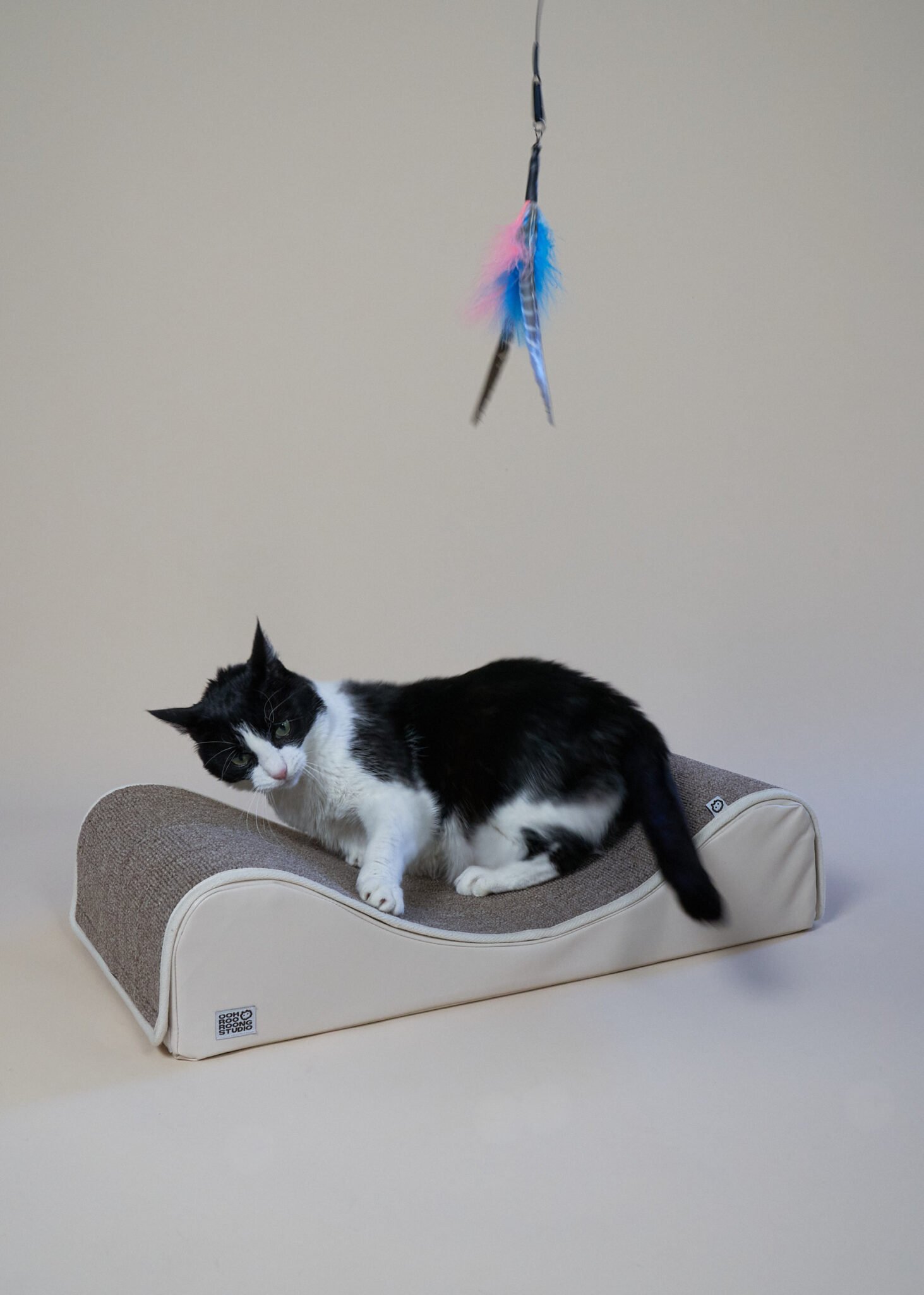 Wave Modern Cat Bed and Scratcher Woods for Cats