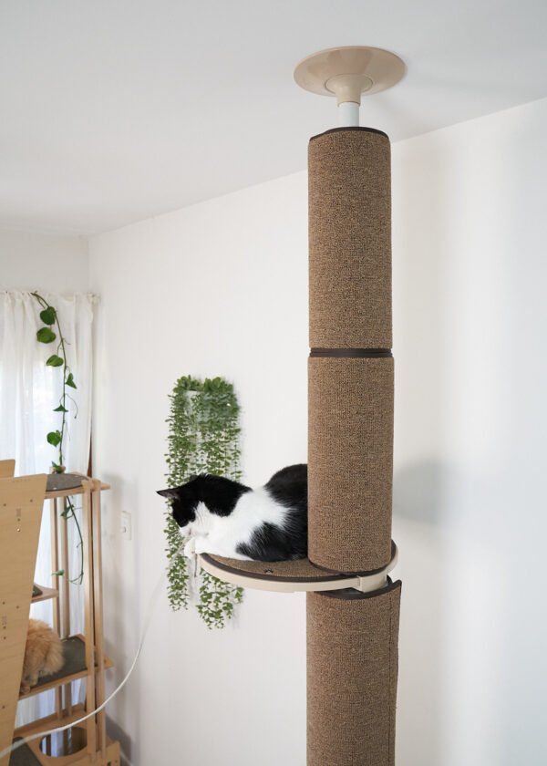 Tok Tok floor to ceiling cat tree Australia for large cats.